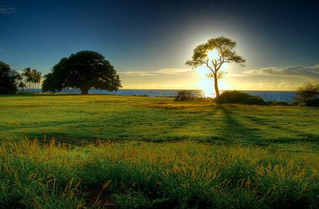 Bolnavii cronici vor beneficia in continuare de tratament gratuit