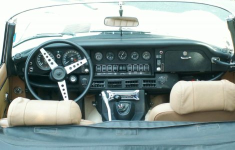 Tata renunta sa mai ceara ajutor guvernamental pentru Jaguar