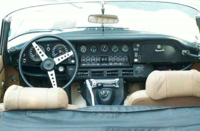 Tata renunta sa mai ceara ajutor guvernamental pentru Jaguar