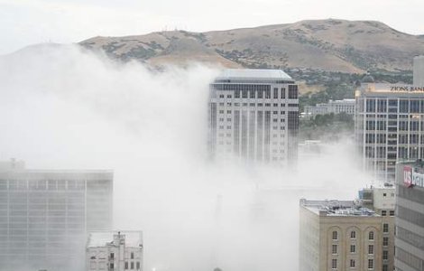 Un nor toxic a distrus vegetatia dintr-o localitate belgiana