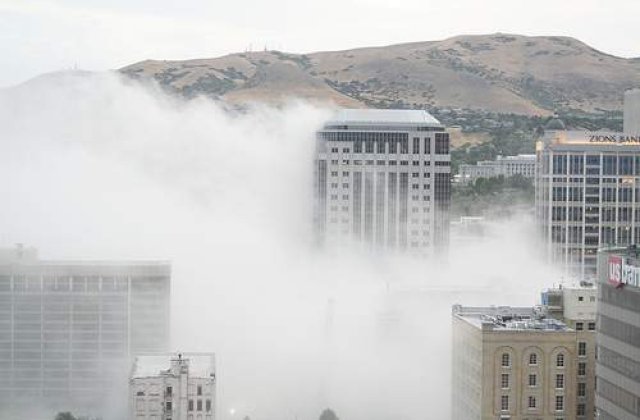 Un nor toxic a distrus vegetatia dintr-o localitate belgiana