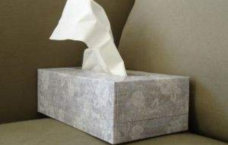 Epidemia de gripa din SUA si Europa, "in drum" spre Romania