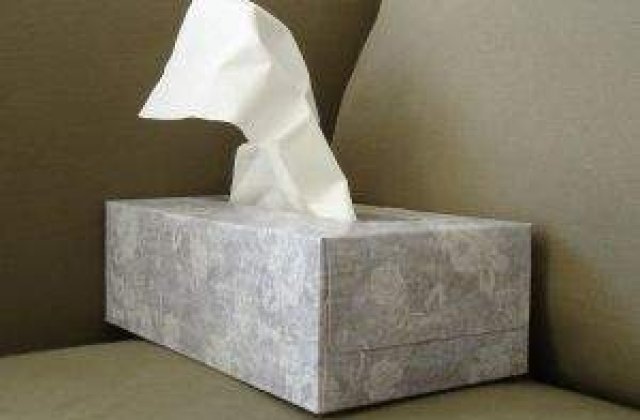 Epidemia de gripa din SUA si Europa, "in drum" spre Romania