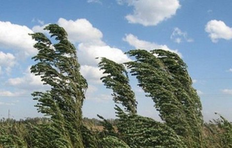 ALERTĂ METEO Cod Galben de vânt puternic. Ce regiuni sunt vizate
