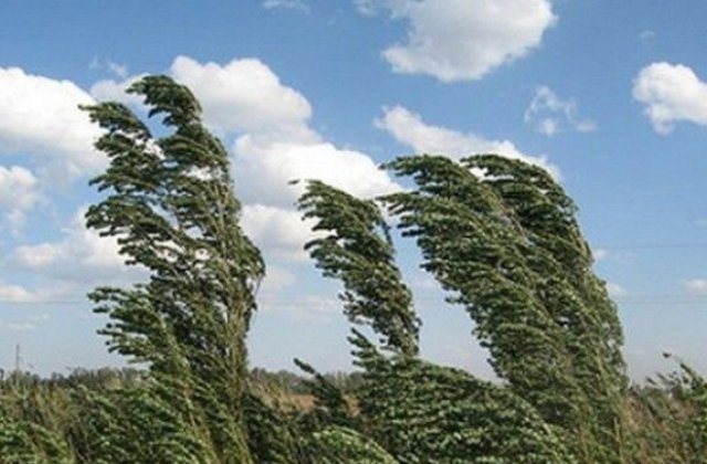 ALERTĂ METEO Cod Galben de v&acirc;nt puternic. Ce regiuni sunt vizate