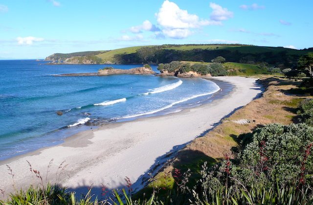 Ministru al Sănătății, cu familia la plaja în timpul pandemiei: ”Am fost un idiot”