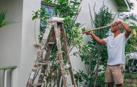 Întâmpină primăvara cu proiecte pentru casă