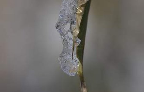 Cea mai scazuta temperatura din tara: -28,7 grade la intorsura Buzaului