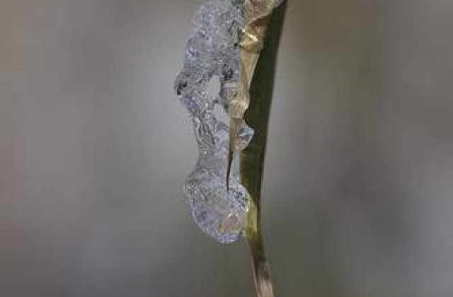 Cea mai scazuta temperatura din tara: -28,7 grade la intorsura Buzaului