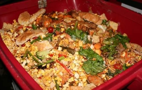 Rasa umana se condamna singura: Jumatate din mancarea produsa se arunca la gunoi