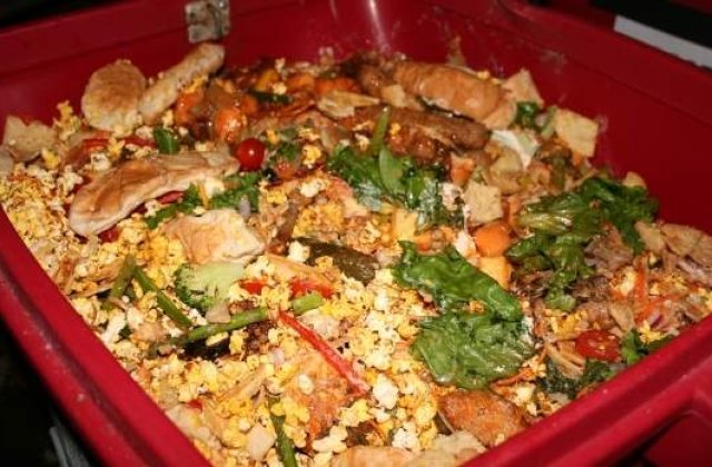 Rasa umana se condamna singura: Jumatate din mancarea produsa se arunca la gunoi