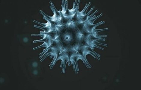 Pandemia globală de coronavirus a ucis peste 75.000 de oameni