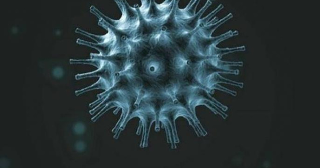 Pandemia globală de coronavirus a ucis peste 75.000 de oameni