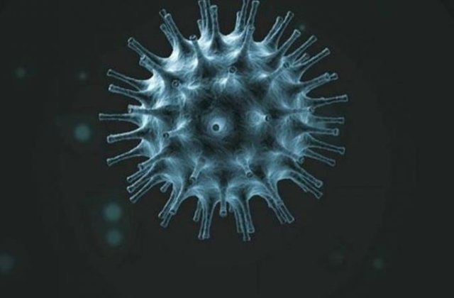Pandemia globală de coronavirus a ucis peste 75.000 de oameni