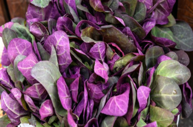 Loboda - beneficii extraordinare pentru sănătate. De ce este bine să consumi această plantă de sezon