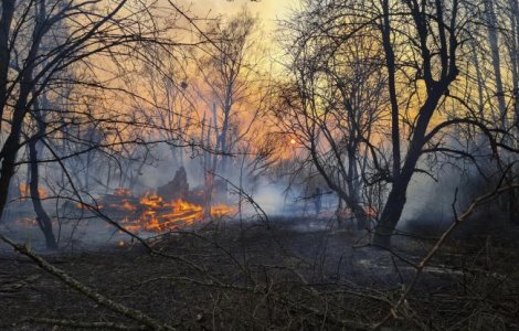 Cine a incendiat pădurea din apropierea centralei de la Cernobîl