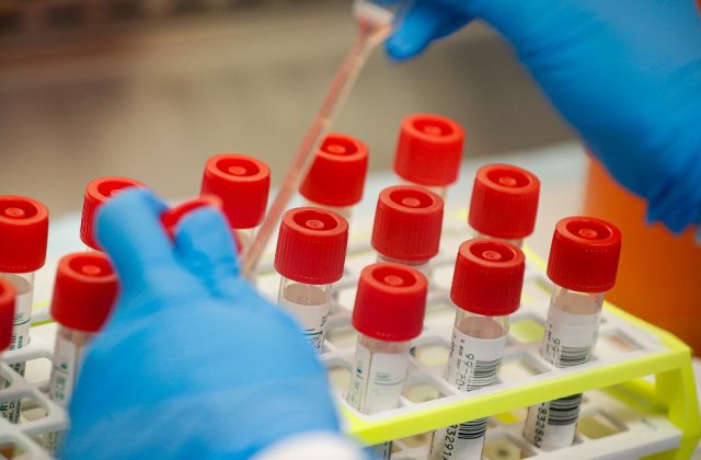 Rom&acirc;nii au creat aplicația care &icirc;ți spune dacă ai putea avea coronavirus