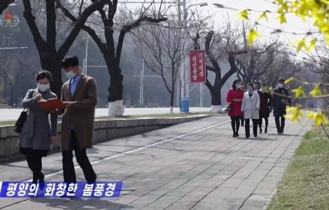 Cum se ferește Coreea de Nord de coronavirus. Măștile de protecție și usturoiul, între recomandări