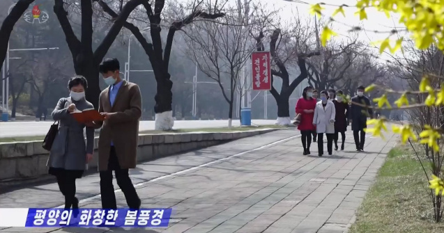 Cum se ferește Coreea de Nord de coronavirus: Măști de protecție și usturoi