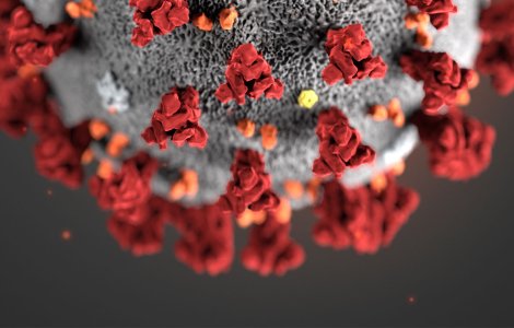 Bilanțul zilei: Peste 5.000 de cazuri de coronavirus în România, 647 vindecați