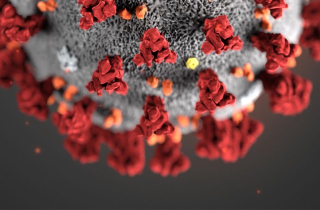 Bilanțul zilei: Peste 5.000 de cazuri de coronavirus &icirc;n Rom&acirc;nia, 647 de vindecați