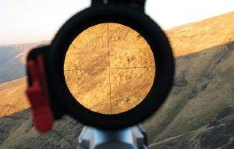 Ion Tiriac a invitat miliardarii Europei la vanatoarea de la Balc