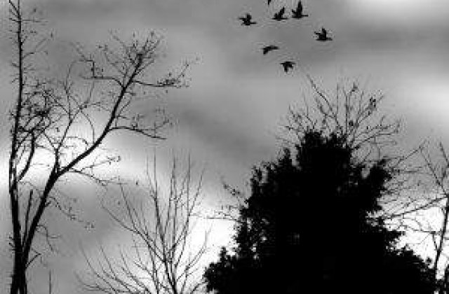 Meteo: Cum va fi vremea in weekend?