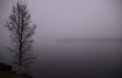 Cod galben de ceata si polei pentru Bucuresti si sase judete