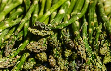 De ce vor nemții DOAR români pentru culesul de sparanghel: „Nu pot folosi nemți. Se plâng repede de durerile de spate”