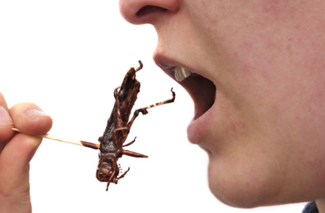 "Două chifteluțe cu lăcuste, vă rog." Insectele comestibile ar putea deveni legale și &icirc;n Europa