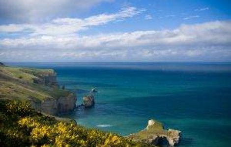 Misterul continua: Nava Arctic Sea a fost gasita, dar nu se stiu cauzele disparitiei