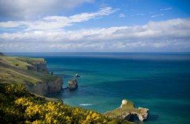 Misterul continua: Nava Arctic Sea a fost gasita, dar nu se stiu cauzele disparitiei