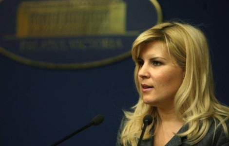 Hrebenciuc: Udrea face un abuz in serviciu in raport cu Parlamentul