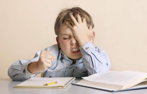 Joaca de-a Educatia: Miclea sau Andronescu?