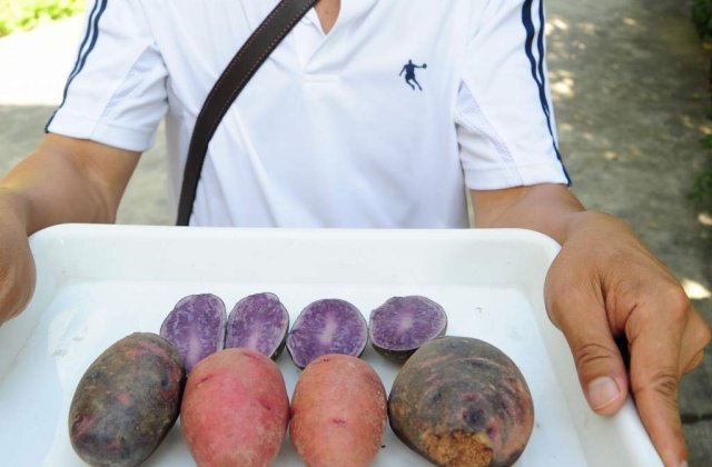 Cartofii colorati: Bon appetit !