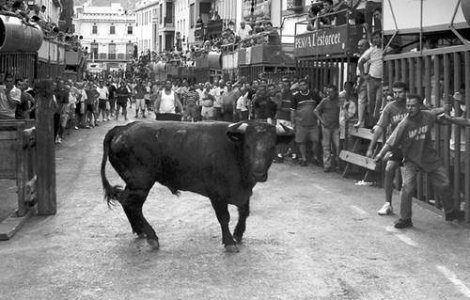 Spania: Adolescent mort in timpul unei curse cu tauri