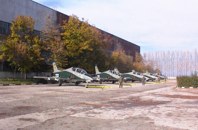 Olguta Vasilescu vrea sa privatizeze Fabrica de Avioane de la Craiova