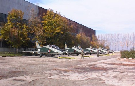 Olguta Vasilescu vrea sa privatizeze Fabrica de Avioane de la Craiova