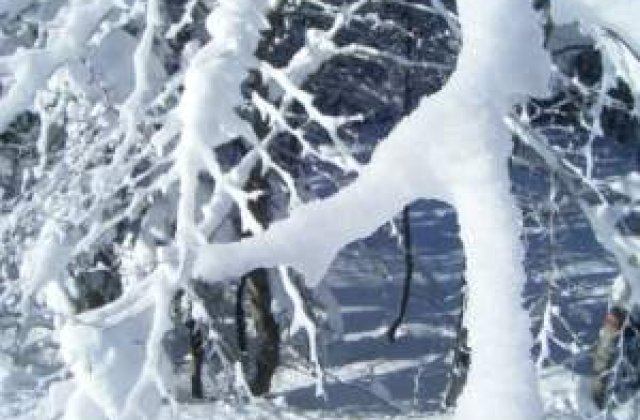 Atentionare de calatorie in Ungaria, Croatia si Slovenia din cauza ninsorilor