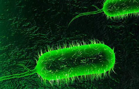 Epidemie de holera in Cuba: 51 de morti