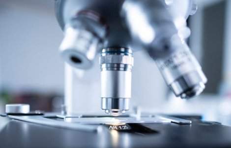 FOTO Limba umană reprezintă un întreg ecosistem de bacterii