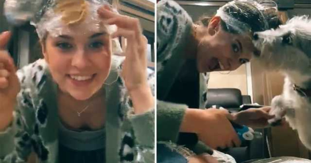 Metoda inedită prin care o femeie a tăiat unghiile câinelui