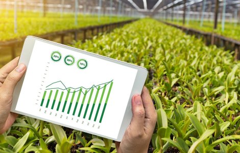 Care este cel mai bun magazin online cu fungicide și pentru ce sunt recomandate aceste produse