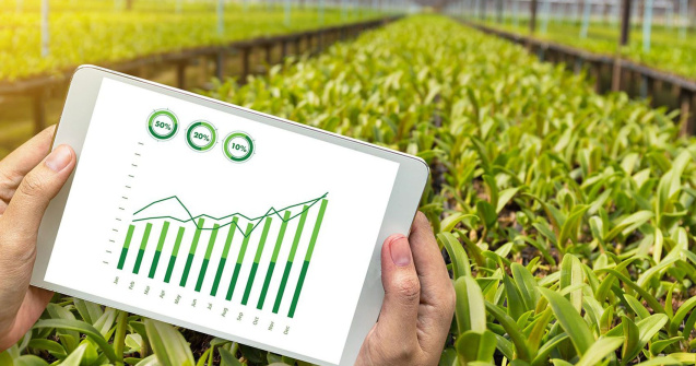 Care este cel mai bun magazin online cu fungicide