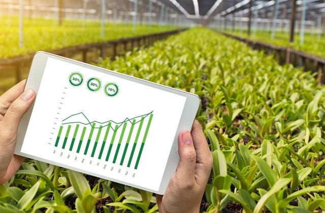 Care este cel mai bun magazin online cu fungicide și pentru ce sunt recomandate aceste produse