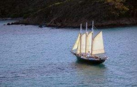 Gripa porcina, pe un vapor de croaziera plecat din Italia cu destinatia Spania