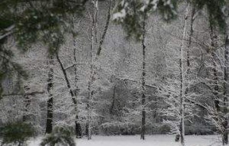 AVERTIZARE: Cod galben de ninsori si viscol pentru vineri si sambata