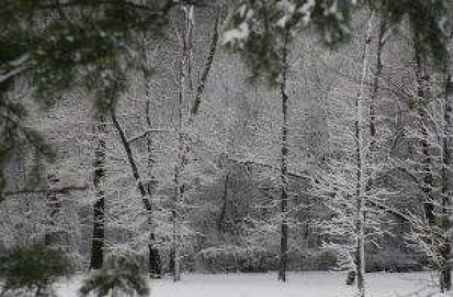 AVERTIZARE: Cod galben de ninsori si viscol pentru vineri si sambata