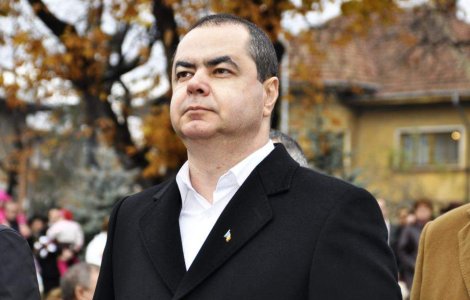 Stanisoara: Propunerile de modificare a Statutului parlamentarilor nu au fost negociate cu PDL