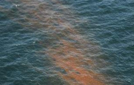 Poluare cu produse petroliere in apropiere de barajul Portile de Fier I